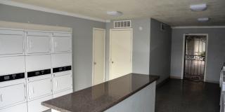 Coral Gardens Gallery 1