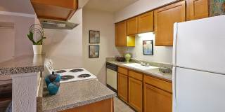 Preston Pointe Gallery 19