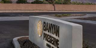 Banyan South Mountain Gallery 29