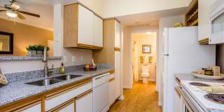 Stone Mist Gallery 3