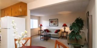 Cherry Blossom Apartments Gallery 7
