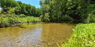 Cross Creek Gallery 14