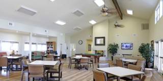 Birchmont Apartment Homes - Senior Housing Gallery 21