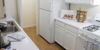 Timberwolf Gallery 7