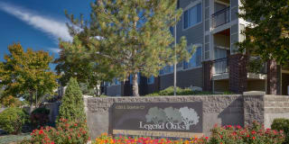 Legend Oaks Gallery 21