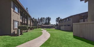 Saddleback Ranch Gallery 30