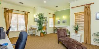 Stone Mist Gallery 19