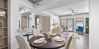 Rise at Elmside Gallery 7