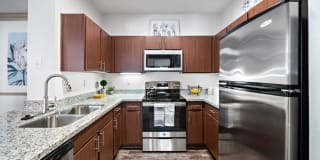 Rise at Elmside Gallery 1