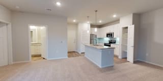 Carmichael Gallery 39