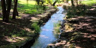 Pinnacle Woods Apartment Homes Gallery 11