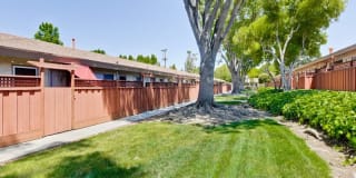 Cherry Blossom Apartments Gallery 2
