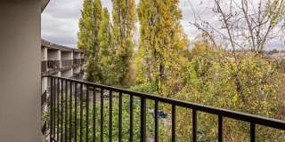 Four Seasons Gallery 1