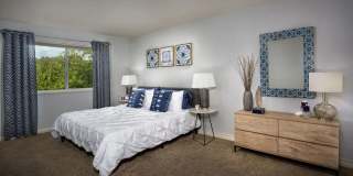 Admiral Place Apartments Gallery 7