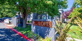 The Lofts Gallery 36
