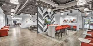 Haven at Elgin - Student Housing Gallery 33