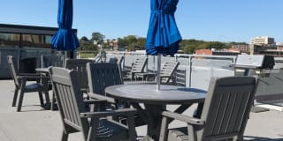 Plant 1 Plant 1 Gallery 16