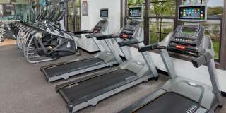 Bell Trelago Gallery 30