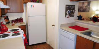 Alexis Park Gallery 11