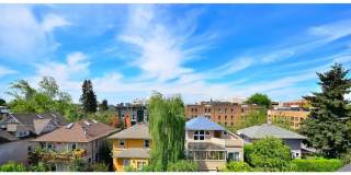 Ruth Court Gallery 18