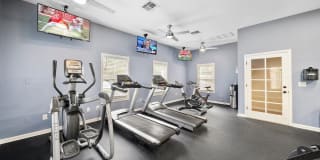 Coastline Cove Gallery 17