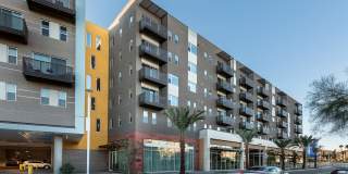 The Piedmont by Mark-Taylor Gallery 21