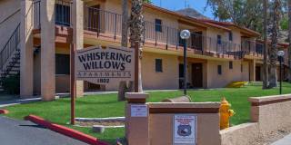 Whispering Willows Gallery 2