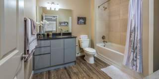 The Nolen Luxury Apartments The Nolen Luxury Apartments Gallery 2