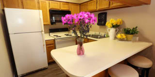 Sommerset Apartments Gallery 23