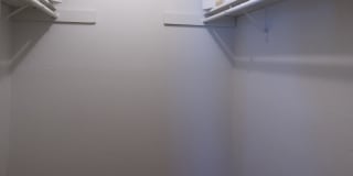 Water Vista Gallery 17