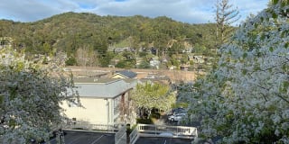 Park Hill Gallery 22