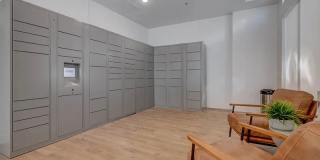 Vida at Daybreak Gallery 21