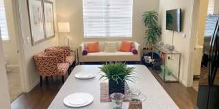 Oak Forest Gallery 5