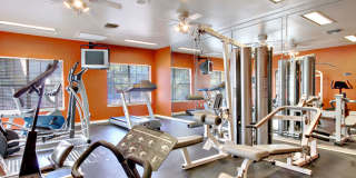 Winridge Apartments & Townhomes Gallery 4