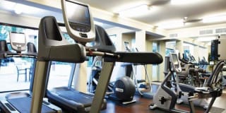 Renaissance at City Center Gallery 19