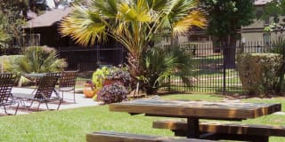 Seasons Apartments Gallery 11