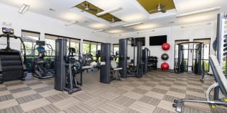 Vista Energy Corridor Gallery 53