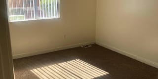 Tropicana Village Gallery 10