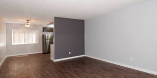 The Atrium Gallery 6