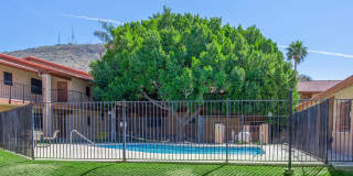 Whispering Willows Gallery 17