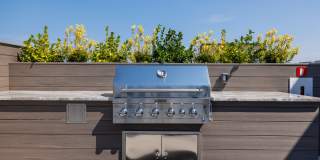 Illustrator Gallery 3