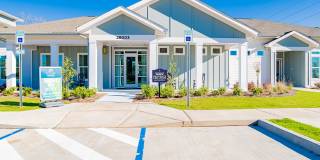 Exchange at Daphne Gallery 61