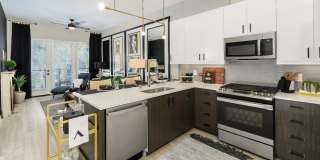 Auric Symphony Park Auric Symphony Park Gallery 1