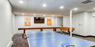 Tanglewood Village Gallery 18