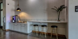 Agave 350 Gallery 29