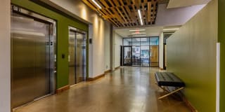 Agave 350 Gallery 36