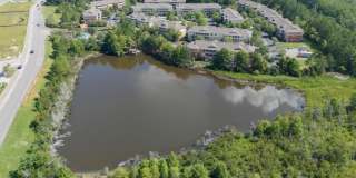 Prosper Orange Beach Gallery 27