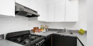 3510 North Pine Grove Gallery 15