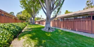 Cherry Blossom Apartments Gallery 1