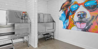 Lexington Park Gallery 16